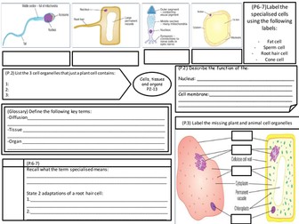 AQA B2 Revision sheets to fill in