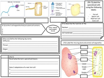 AQA B2 Revision sheets to fill in