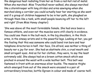 Roald Dahl, Miss Trunchbull description activity