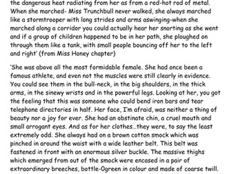 Roald Dahl, Miss Trunchbull description activity
