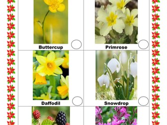 KS1 Science Woodland flower hunt activity