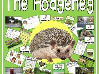 THE HODGEHEG STORY TEACHING RESOURCES EYFS KS1-2 HEDGEHOG ROAD SAFETY