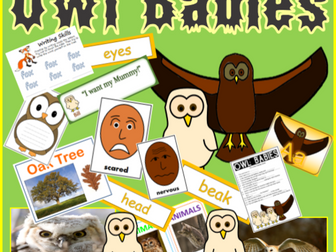 OWL BABIES STORY TEACHING RESOURCES, LITERACY, READING, EYFS, KS 1-2 ANIMALS