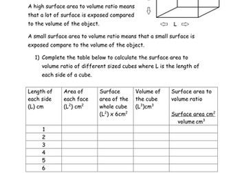 A-Level Biology - Surface area to volume ratio