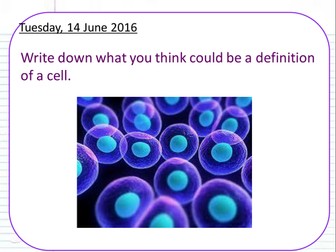 Cells KS3/4 AQA B2