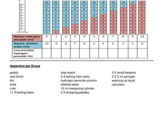 Investigating factors affecting enzymes