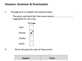 Year 3 Grammar Assessment ANSWERS