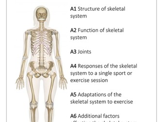 New Spec Level 3 Sport Unit 1 - Skeletal System