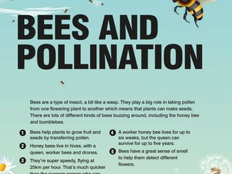 WOW March 2016 - Bees and pollination KS1