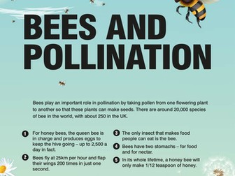 WOW March 2016 - Bees and Pollination KS2