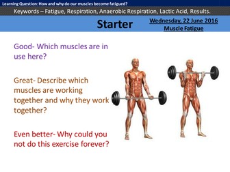 Muscle Fatigue