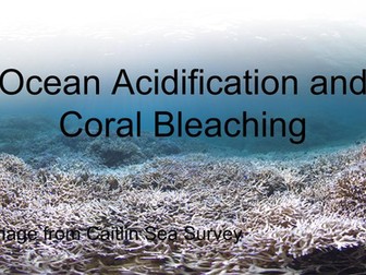 Coral Bleaching and Ocean Acidification #GoogleExpedition 12th Grade Marine Biology 