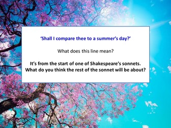 Sonnet 18 - Shall I compare thee to a summer's day?