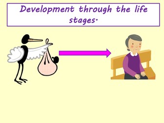 Edexcel level 2 Health and social care - introduction to life stages