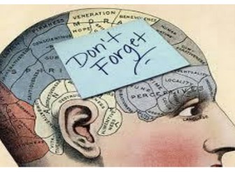 Memory Staff Meeting