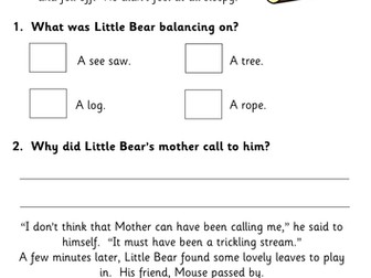 Five Fiction and Non Fiction Reading Comprehension Booklets for KS1