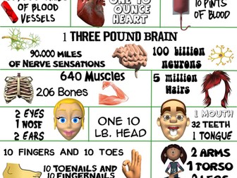 Health and Science Poster: Human Body Recipe