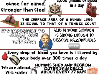 Health and Science Poster: Amazing Human Body Facts