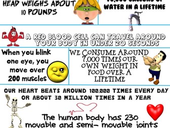 Health and Science Poster: Fascinating Human Body Facts