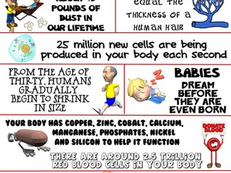Health and Science Poster: Remarkable Human Body Facts