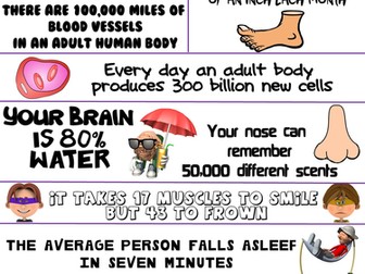 Health and Science Poster: Incredible Human Body Facts