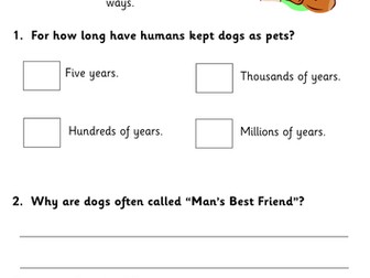 Five Fiction/Non Fiction Reading Comprehension Booklets for KS1