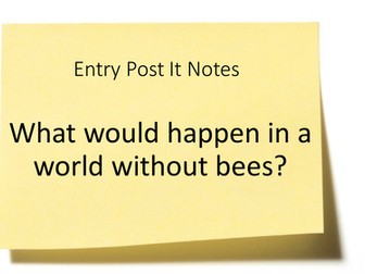 Understanding the Challenges facing Pollinators Bees