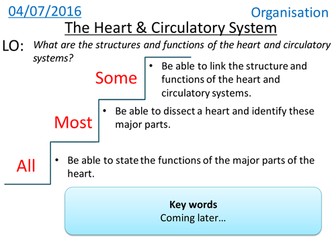 The Heart & Circulatory System - NEW GCSE