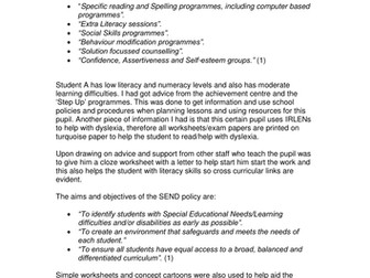 PS4 report - leeds uni PGCE module SEN