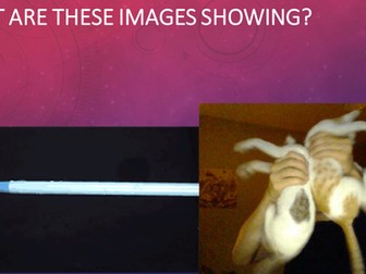 Powerpoint to deliver Electric fields portion of AQA New Specification