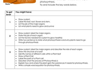 NEW KS3 Assessment Task - Plants