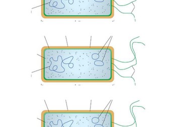 AQA 2017 Cell Biology