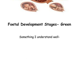 Child development GCSE Differentiated foetal development pregnancy booklets