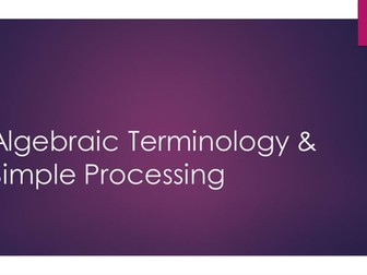 Algebraic Terminology lesson