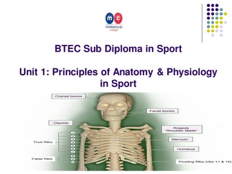 The Appendicular Skeleton and Types of Bone