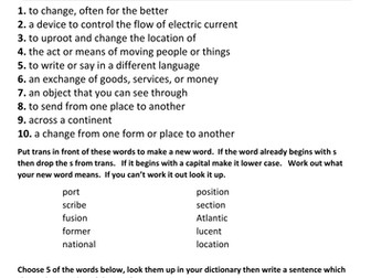 Words Using the Prefix Trans