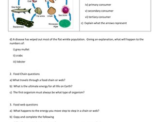 Food Chains and Food Webs