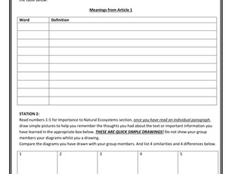 Importance of Insects