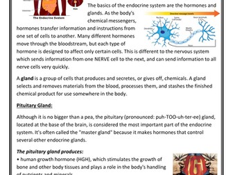 Endocrine System_Lower Ability_ESL_EALD