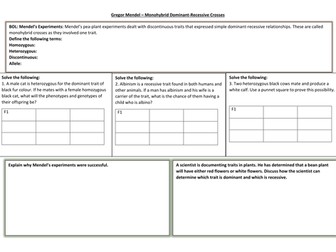 Genetics Overview Blueprint of Life