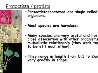 Microorganism - Students teach each other activity
