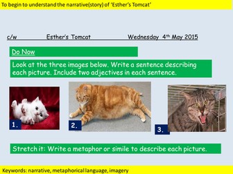 Poetry Lesson and worksheets- Ted Hughes- Esther's Tomcat