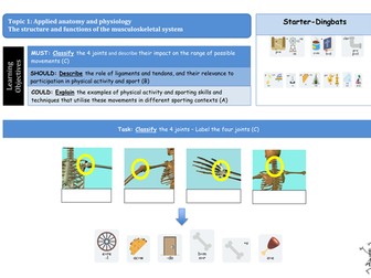 2016 GCSE PE EDEXCEL Joints and Movement