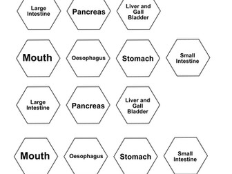"Indigestion" the Digestion board game