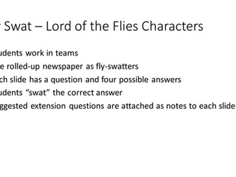 Lord of the Flies Flyswat