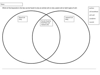 Animal and Plant Cells Worksheets