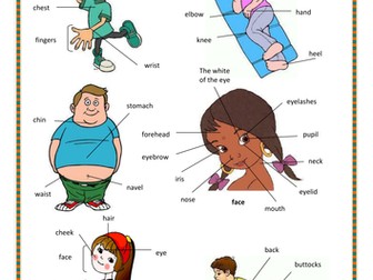 Parts of the body.