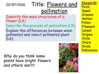 B1 3.6 Flowers and pollination