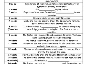 When does life begin?