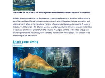 Things to do in Barcelona